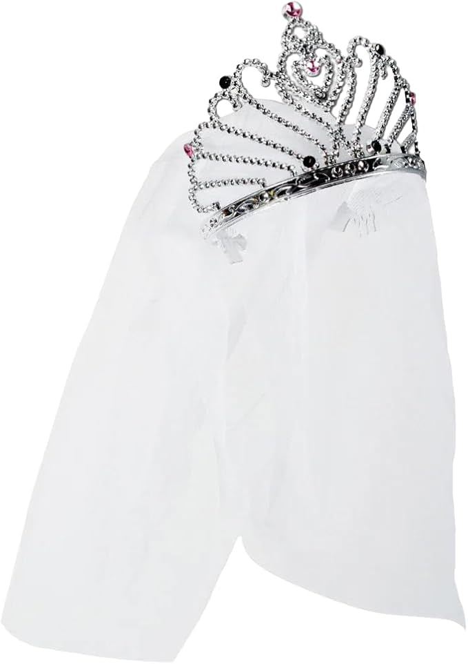 Bride to be Tiara & Veil