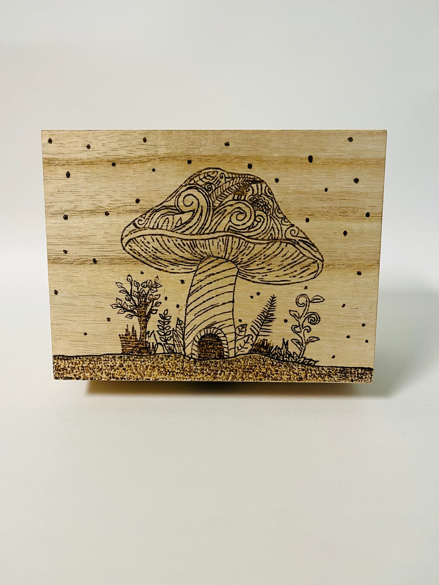 Large Wood Burned Boxes